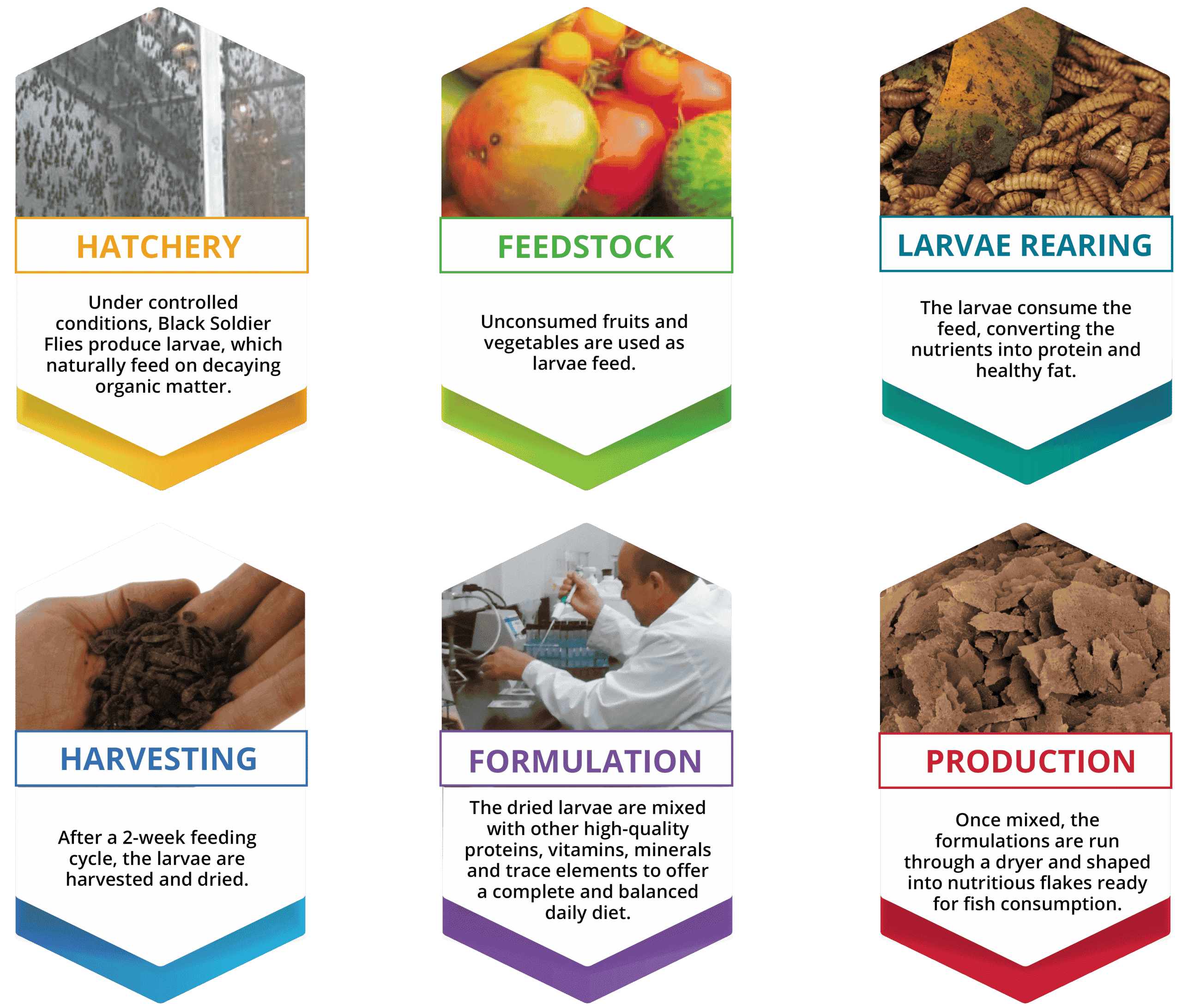 BB-Sustainable_Steps_EN